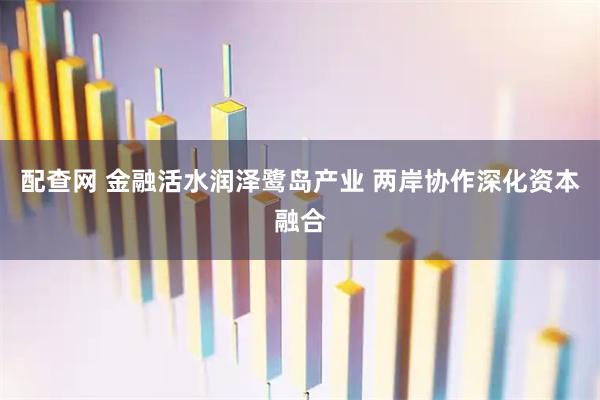 配查网 金融活水润泽鹭岛产业 两岸协作深化资本融合