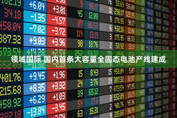 领域国际 国内首条大容量全固态电池产线建成