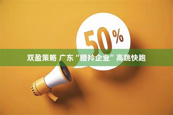 双盈策略 广东“瞪羚企业”高跳快跑