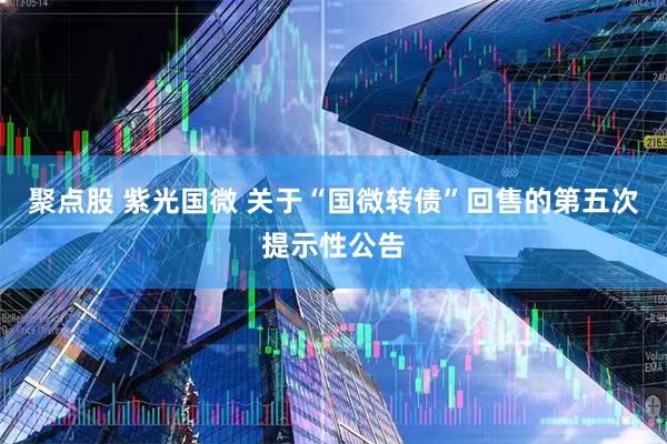 聚点股 紫光国微 关于“国微转债”回售的第五次提示性公告