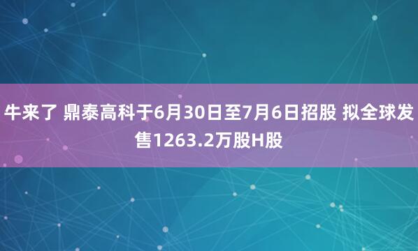 牛来了 鼎泰高科于6月30日至7月6日招股 拟全球发售1263.2万股H股